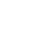 light logo