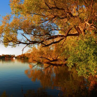 Bond Lake